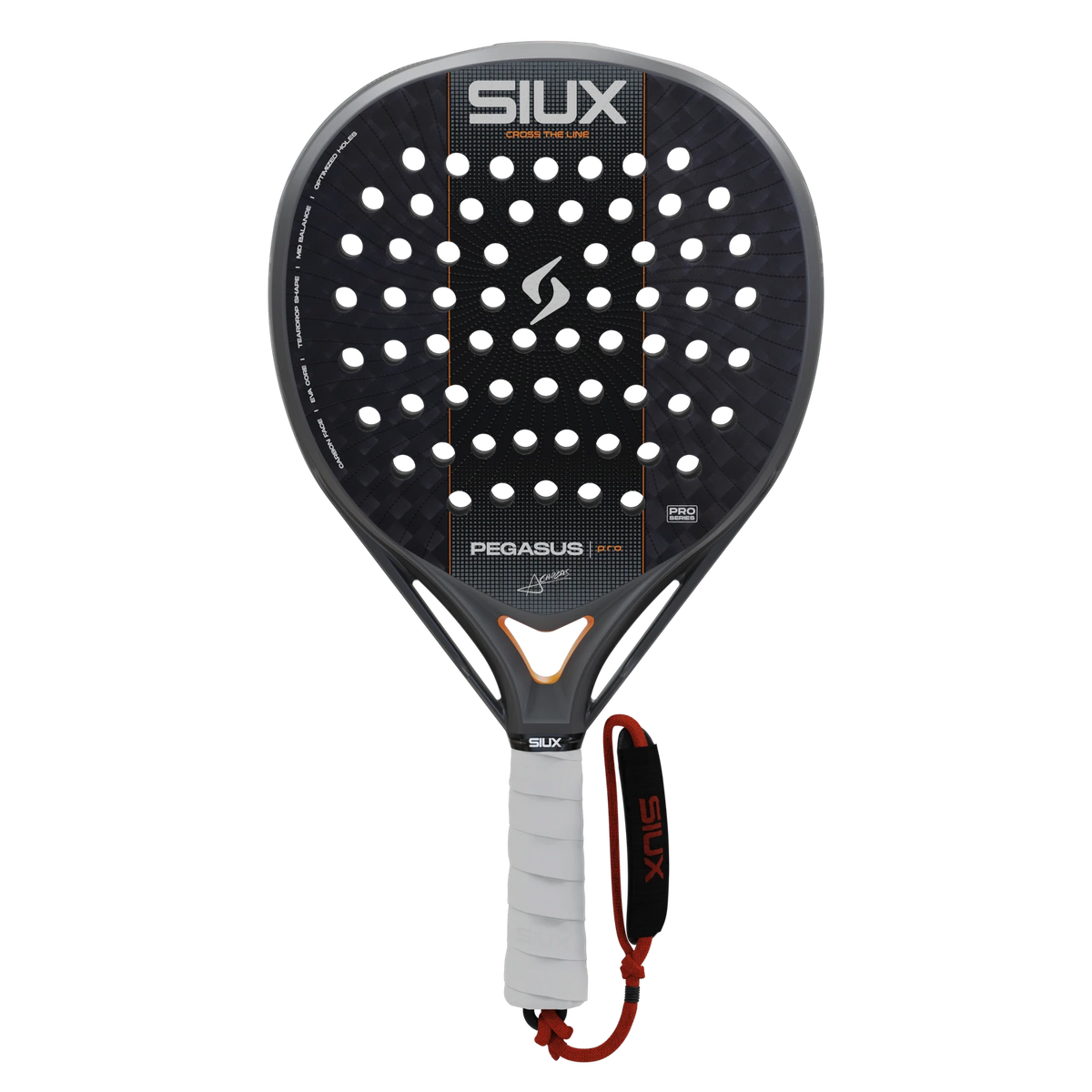 Pegasus Pro 2027 Silver