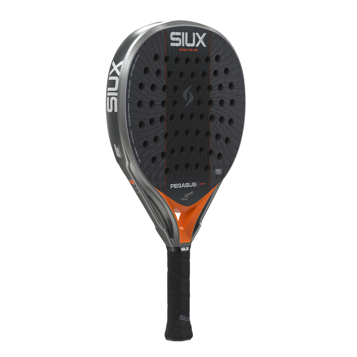 Pegasus Pro 2027 Silver