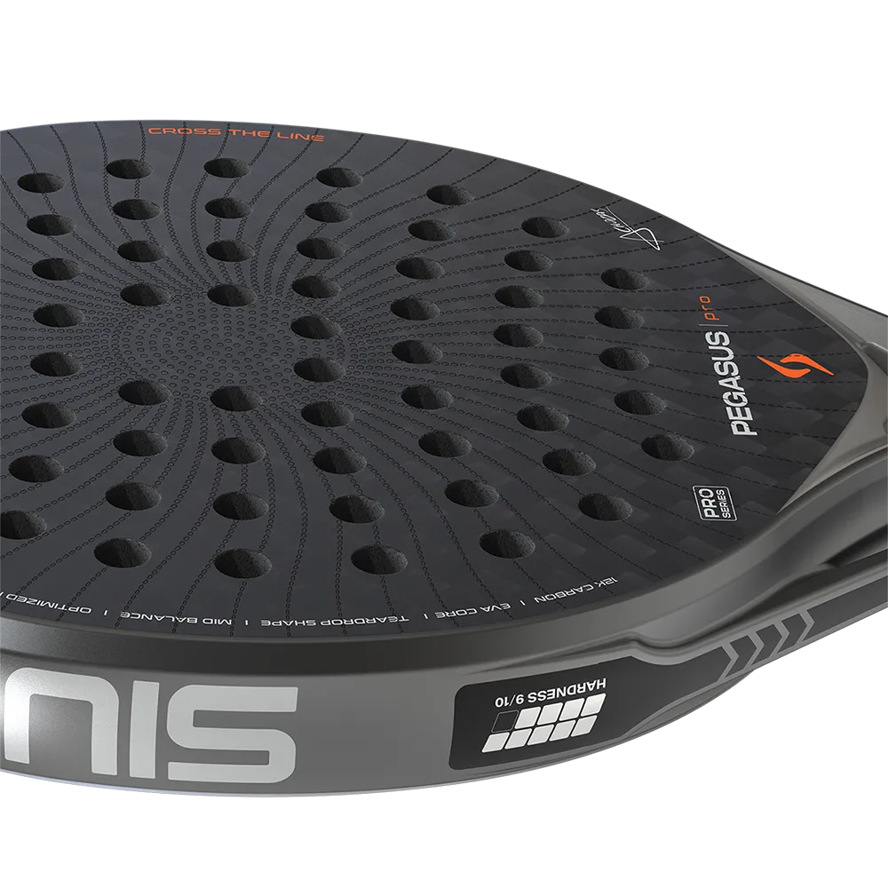 SIUX PEGASUS PRO 2026 STORM GREY