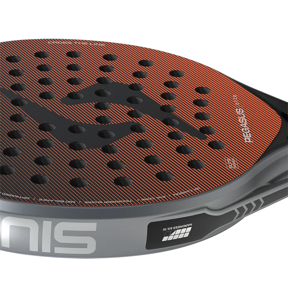 SIUX PEGASUS ELITE 2026