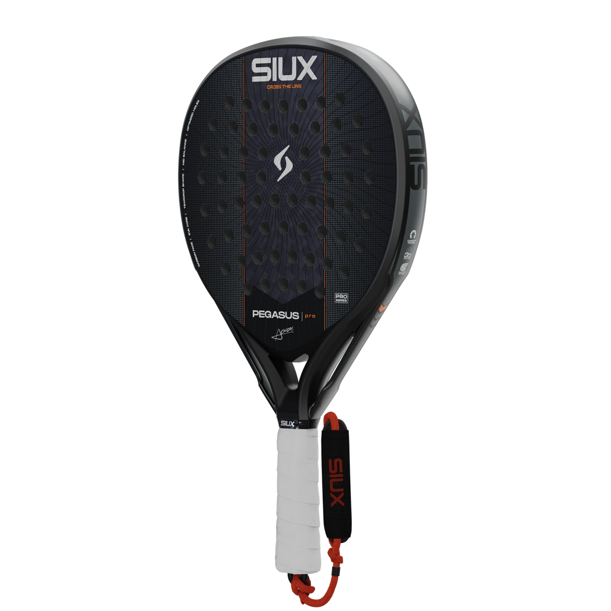 Pegasus Pro 2027 Black