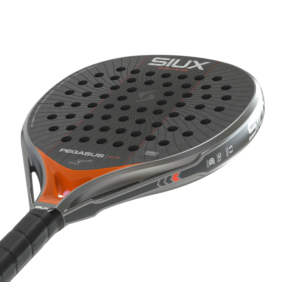 Pegasus Pro 2027 Silver