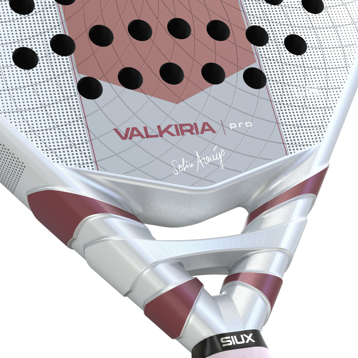 Valkyrie Pro 2027
