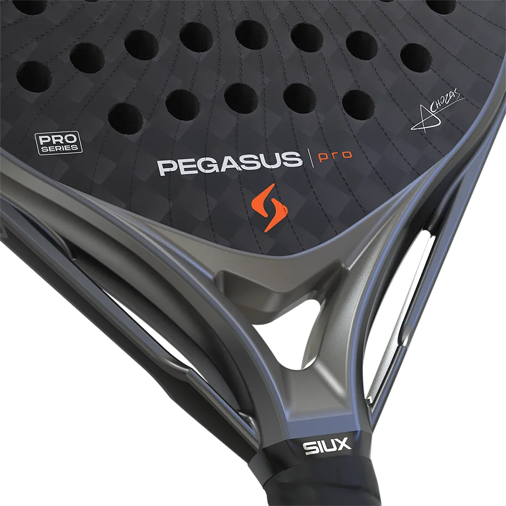 SIUX PEGASUS PRO 2026 STORM GREY