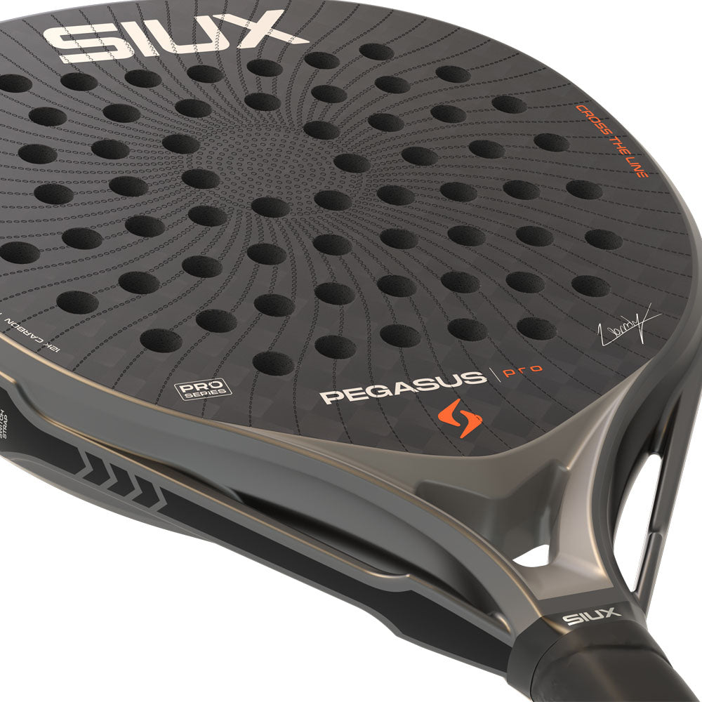 SIUX PEGASUS PRO 2026 STORM GREY